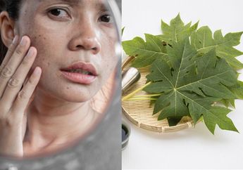 Untung Gak Pernah Perawatan Mahal, Hempas Noda Hitam di Wajah Hanya dengan Daun Pepaya, Cukup Dipakai 3 Kali Seminggu