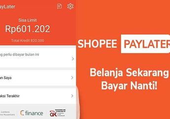Pantas Tidak Bisa Dipakai Ini Penyebab Shopee Paylater Dibekukan, Jangan Diulangin!