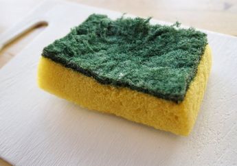 Rendam Spons Cuci Piring dengan Bumbu Dapur Ini Semalaman, yang Tadinya DEKIL Jadi Baru Lagi! Mau Coba?
