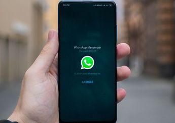 Ada Cara Membuat Whatsapp Centang 1 Namun Online dengan Aplikasi