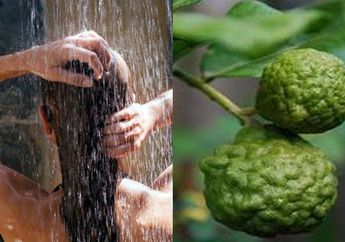 Ambil Jeruk Purut Lalu Rebus Selama 20 Menit dan Gunakan Untuk Mandi, Khasiat Luar Biasa Akan Langsung Terasa