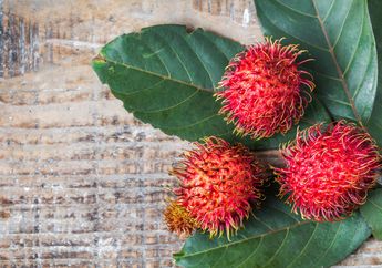 Pengantin Baru Nyesel Kalau Gak Coba, Daun Rambutan yang Diolah dengan Cara Ini Ternyata Bisa Tingkatkan Gairah Seksual Pasangan