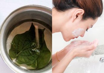 Menolak Tua, Ini 3 Khasiat Air Rebusan Sirih untuk Cuci Muka, Wajib Dicoba Nih