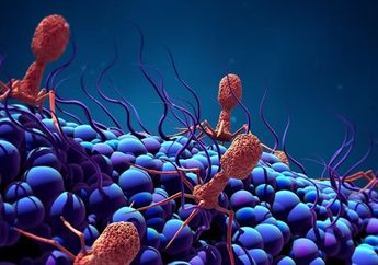 Studi Baru Menemukan Bahwa Virus Mungkin Memiliki 'Mata dan Telinga'