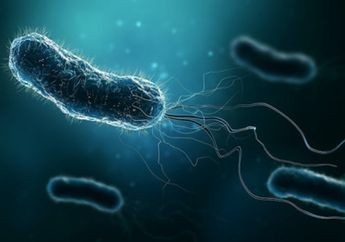 Pemanasan Global Menyebabkan Infeksi Bakteri Berpotensi Lebih Fatal