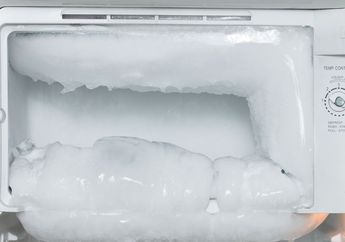 4 Penyebab Bunga Es di Freezer Cepat Menumpuk dan Tips Mengatasinya