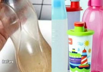 Sepele tapi Fatal, Botol Minum Licin dan Bau Bisa Bikin Penyakitan Kalau Nekat Dipakai, Begini Cara Membersihkannya