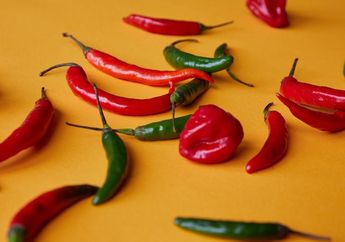 Jadi Salah Satu Pantangan untuk Penderita Asam Lambung, Mengapa Makanan Pedas Jadi Pemicu Sakit Perut?