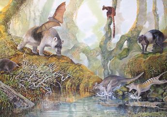 Apa Penyebab Flora dan Fauna di Barat dan Timur Indonesia Berbeda?