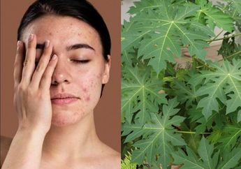 Coba Petik di Kebun Kakek, Daun Pepaya yang Dibuat jadi Begini Ampuh Bikin Jerawat 'Lenyap'! Hasilnya Lebih Tokcer dari Skincare
