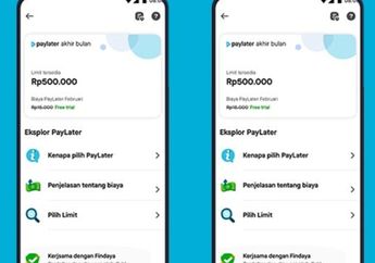Sebelum Aktifkan, Kenali Dulu Sederet Kekurangan Dari Penggunaan Gopay Paylater