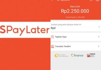 Resiko Gagal Bayar Tagihan Shopee Paylater, Lebih Dari 3 Bulan, Benarkah Hutang Otomatis Lunas?
