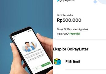 Apakah Gopay Paylater Ngaruh ke BI Checking? Ini Dia Jawabannya!