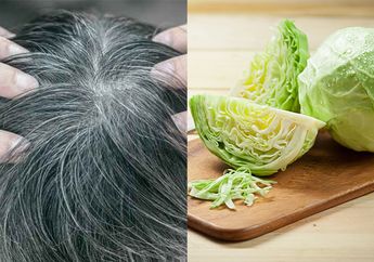 Jarang Ada yang Tahu, Sayur Kol Ternyata Sanggup Hilangkan Uban Sampai Ke Akar, Gampang Banget Cara Pakainya
