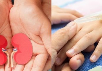 Gagal Ginjal Akut Bisa Menular? Serang Ratusan Anak, Jika Ada Gejala Ini Segera ke Dokter! Adakah Kaitan dengan Covid-19, Ini Penjelasan Kemenkes