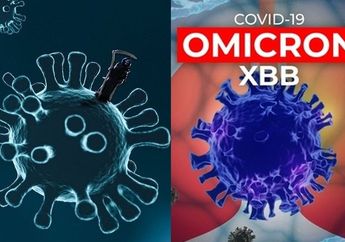 Gejala Covid-19 Omicron XBB, Kasus Pertama Ditemukan di Indonesia! Seberapa Bahayanya?