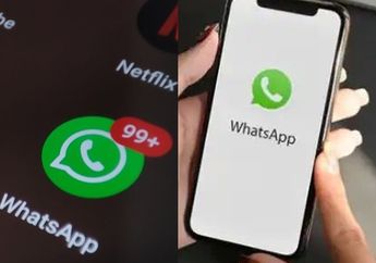 Whatsapp Down? Pengguna Keluhkan Tak Bisa Kirim Pesan Pribadi atau Grup, Ini yang Harus Dilakukan Bila WA Error