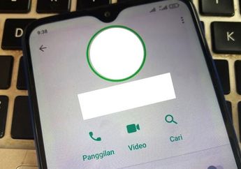 Keluar Tanda Lingkaran Hijau di Foto Profil WhatsApp Apa Artinya?