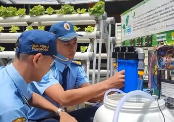 Dua Pelajar SMK Bikin Inovasi Hiper, Alat Penjernih Air Limbah Hidroponik, Penyelamat Bumi Juga!