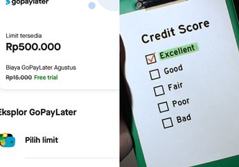 Jangan Disepelekan! Ternyata Gagal Bayar Gopay Paylater Bisa Bikin Nama Jelek Satu Negara!