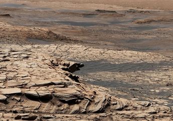 Singkap Jejak Samudra Purba di Planet Mars Bukti Pernah Beriklim Basah