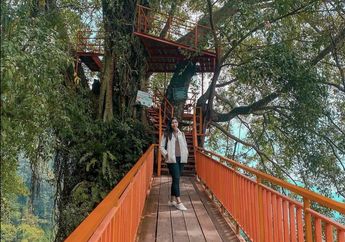 Masuk Daftar Liburan Keluarga, Ini 7 Tempat Wisata di Bogor Bisa Sekaligus Foto Aesthetic