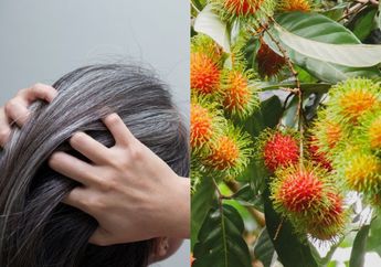 Semir Rambut Kalah Ampuh, Cara Lenyapkan Uban Sampai ke Akar Ternyata Butuh Daun Rambutan, Begini Caranya Agar Rambut Hitam Legam