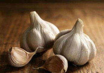 Istri Bisa Minta 'Beronde-ronde', ini Cara Membuat Ramuan Obat Kuat dengan Satu Siung Bawang Putih