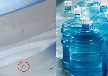 Galon Air Isi Ulang Bisa Jadi Sarang Jentik Nyamuk? Ternyata Kebiasaan Sepele ini yang Jadi Penyebabnya