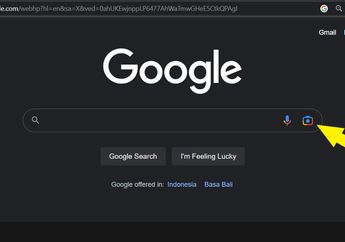 Saingi Microsoft Bing, Google Lens Kini Hadir Di Halaman Google Search