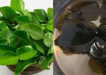 Padahal Awalnya Iseng Minum Air Rebusan Daun Jeruk Purut, Wanita Ini Justru Ketagihan Setelah Rasakan Hal Luar Biasa Ini, Langsung PD Kumpul Bareng Temen