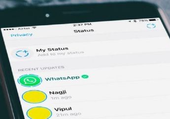 2 Cara Melihat Status WhatsApp Tanpa Ketahuan, Cocok Buat yang Hobi Ngestalk