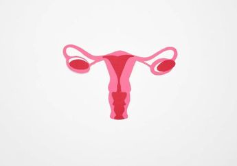 Penjelasan Bagian-bagian Saluran Reproduksi Wanita Beserta Fungsinya