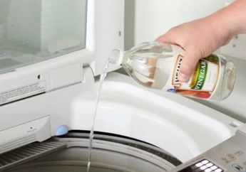 Ikut-ikutan Mertua, Iseng Tuang Cuka Putih ke Mesin Cuci Sebelum Dinyalakan, Setelah Kering Hasilnya Bikin Kita Tersenyum Lebar