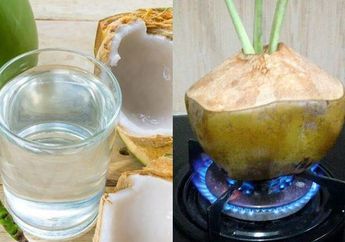 Benci Banget Baru Tahu! Ini Jadinya Kalau Minum Air Kelapa Rabus, Penyakit ini Hilang Selamanya