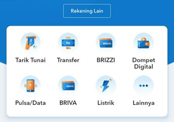 Gratis Biaya Admin! Ini Cara Bayar Tagihan DANA Paylater Pakai BRImo