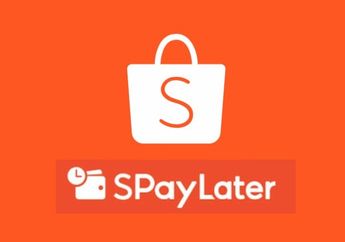 Bukan Karena BI Checking Buruk, Ternyata Ini Alasaan Pengajuan Shopee Paylater Ditolak