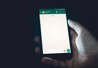 Bisa Offline Terus, Begini Cara Whatsapp GB Tidak Terlihat Online