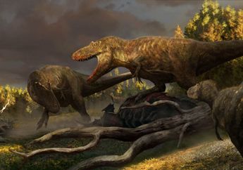 Daspletosaurus horneri, Spesies Baru Tyrannosaurus Nenek Moyang T. Rex