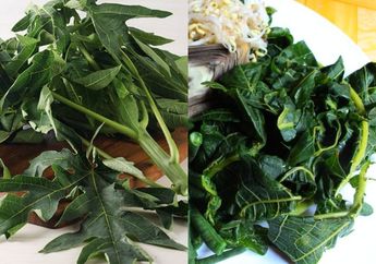 Cara Masak Daun Pepaya Agar Tidak Pahit Ternyata Harus Direbus Bersama 1 Bahan Ini, Persis Buatan Warung Padang