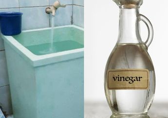 Tak Malu Lagi Kalau Ada Tamu, Bak Mandi yang Menguning dan Berkerak Bisa Kinclong Cuma Digosok dengan 1 Bahan Dapur Ini, Super Mudah!