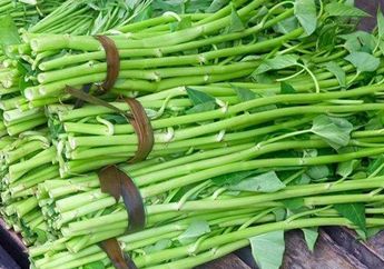 Mitos atau Fakta Kangkung Menyebabkan Asam Urat? Ini Penjelasannya!