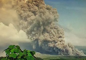 Gunung Semeru Meletus Tapi Seluruh Dunia yang Ketar-ketir, Ternyata Letusan Gunung Api di Indonesia Bisa Bikin Seisi Bumi 'Gelap'