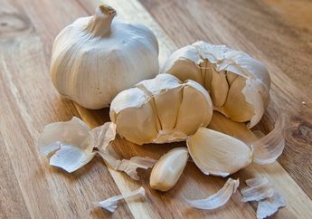 Langkah Cara Menanam Bawang Putih Anti Gagal, yang Bikin Ibu-ibu Enggak Perlu Balik ke Pasar Lagi