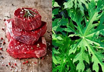 Bikin Daging Sapi Biar Empuk Ternyata Gak Repot, Bisa Pakai Daun Pepaya yang Ada Di Depan Rumah