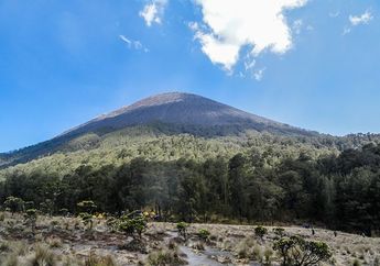 Menjulang di Atas Awan, Inilah 10 Gunung Tertinggi di Indonesia!