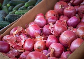 Home Owner, Ini 5 Langkah Cara Menanam Bawang Merah, Bisa Panen dalam Hitungan Bulan