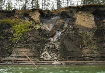 Virus 'Zombie' Telah Dihidupkan Kembali dari Permafrost Siberia