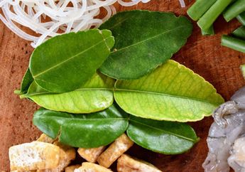 Tidak Perlu Dijemur, Begini Cara Menyimpan Daun Jeruk di Kulkas untuk Stok Bahan Dapur