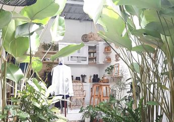 Anti Mainstream, Desain Dapur Terbuka Dibuat dengan Gaya Tak Biasa, Foto Hasilnya Jadi Rujukan